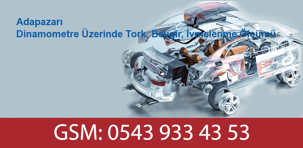 Adapazarı Dinamometre Üzerinde Tork, Beygir, İvmelenme Ölçümü 