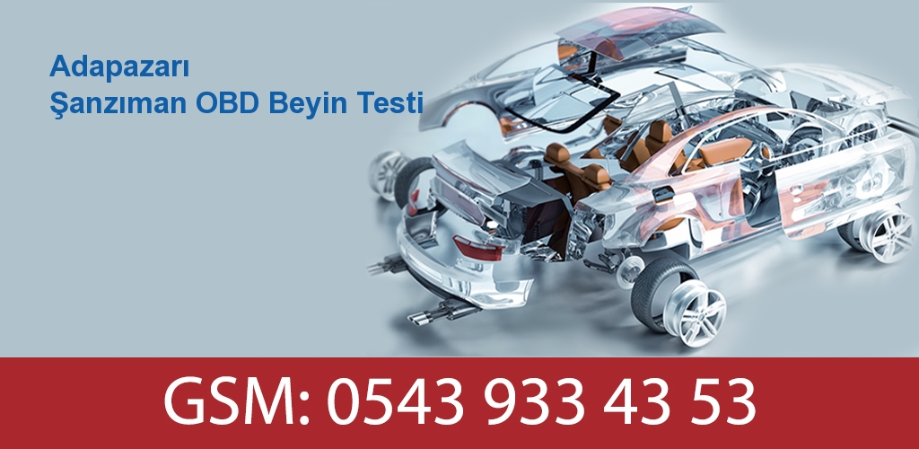 Adapazarı Şanzıman OBD Beyin Testi 