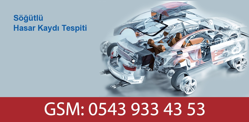 Söğütlü Hasar Kaydı Tespiti 